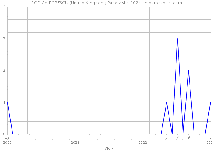 RODICA POPESCU (United Kingdom) Page visits 2024 