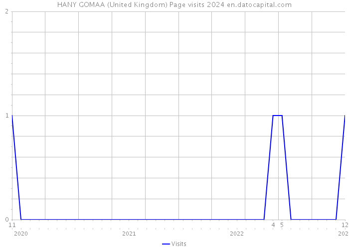 HANY GOMAA (United Kingdom) Page visits 2024 