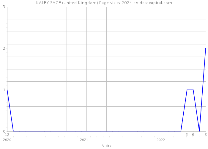 KALEY SAGE (United Kingdom) Page visits 2024 