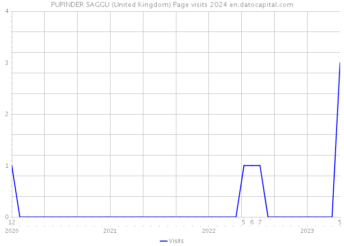 PUPINDER SAGGU (United Kingdom) Page visits 2024 