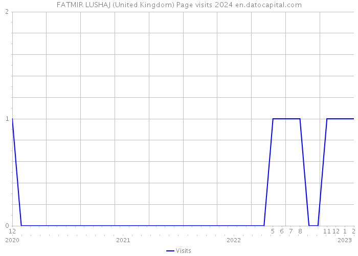FATMIR LUSHAJ (United Kingdom) Page visits 2024 