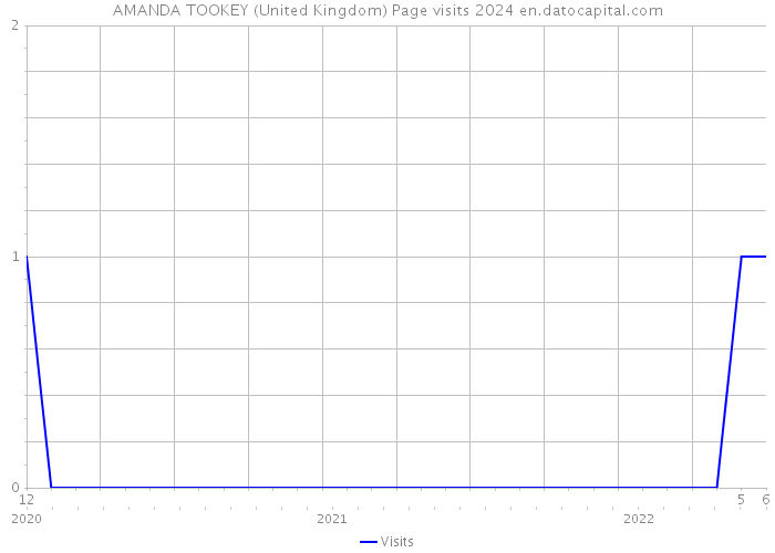 AMANDA TOOKEY (United Kingdom) Page visits 2024 