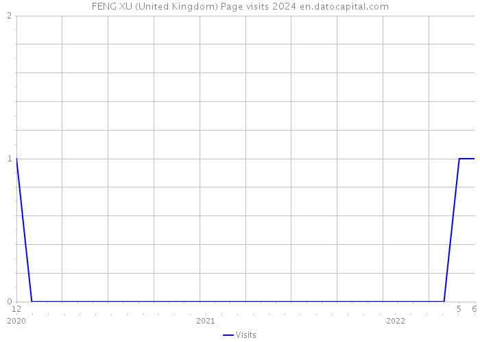 FENG XU (United Kingdom) Page visits 2024 