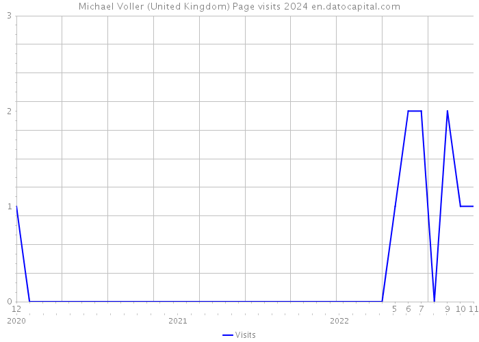 Michael Voller (United Kingdom) Page visits 2024 