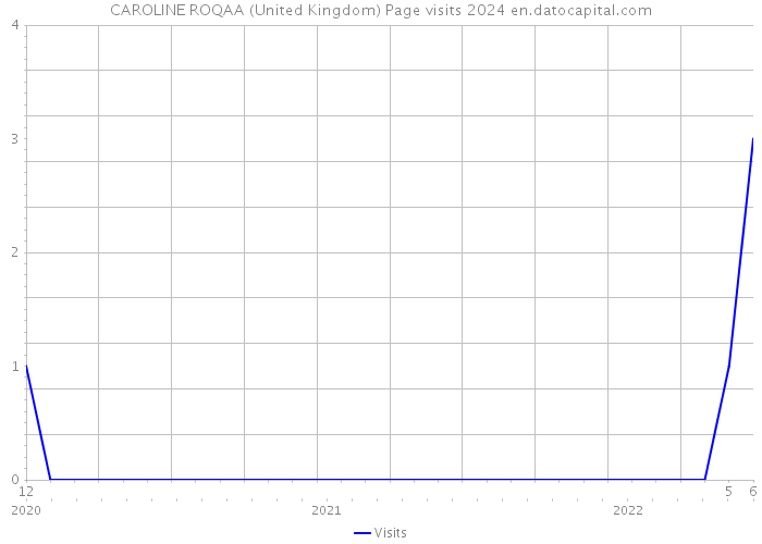 CAROLINE ROQAA (United Kingdom) Page visits 2024 