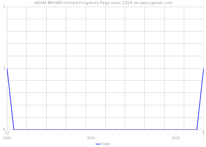 ADAM BRAWN (United Kingdom) Page visits 2024 