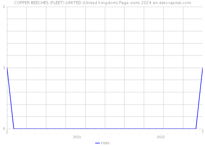 COPPER BEECHES (FLEET) LIMITED (United Kingdom) Page visits 2024 