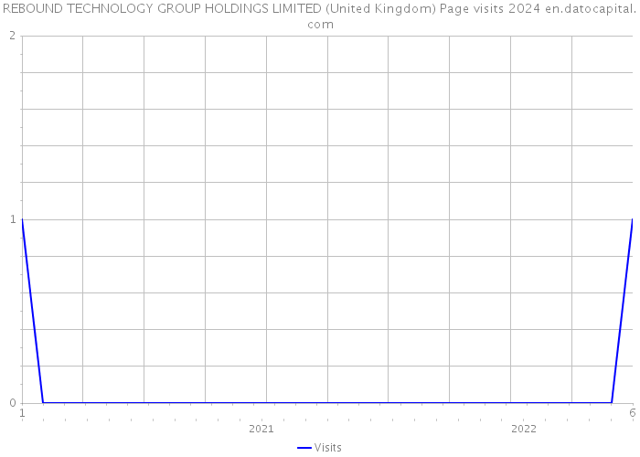 REBOUND TECHNOLOGY GROUP HOLDINGS LIMITED (United Kingdom) Page visits 2024 
