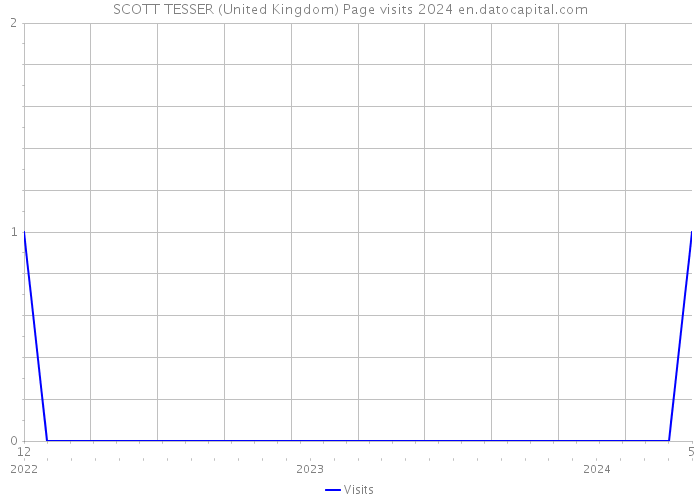 SCOTT TESSER (United Kingdom) Page visits 2024 