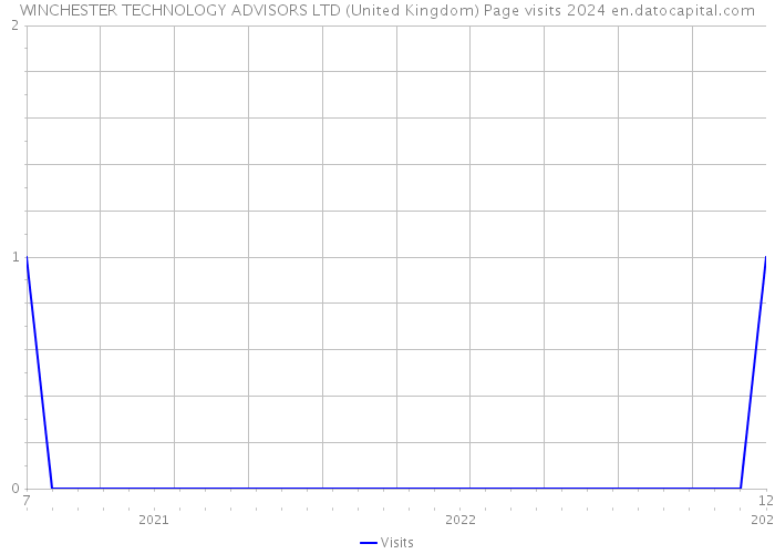 WINCHESTER TECHNOLOGY ADVISORS LTD (United Kingdom) Page visits 2024 