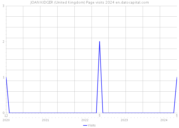 JOAN KIDGER (United Kingdom) Page visits 2024 