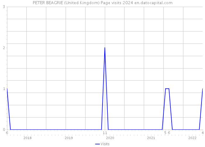 PETER BEAGRIE (United Kingdom) Page visits 2024 