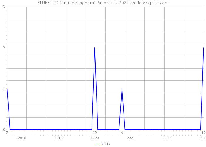 FLUFF LTD (United Kingdom) Page visits 2024 