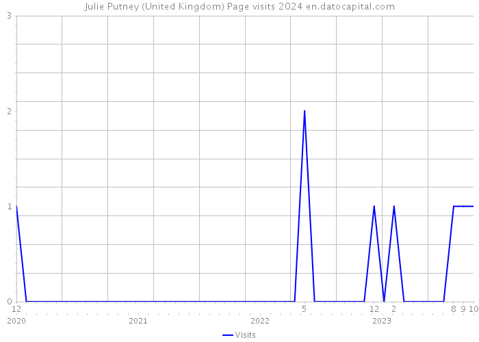 Julie Putney (United Kingdom) Page visits 2024 