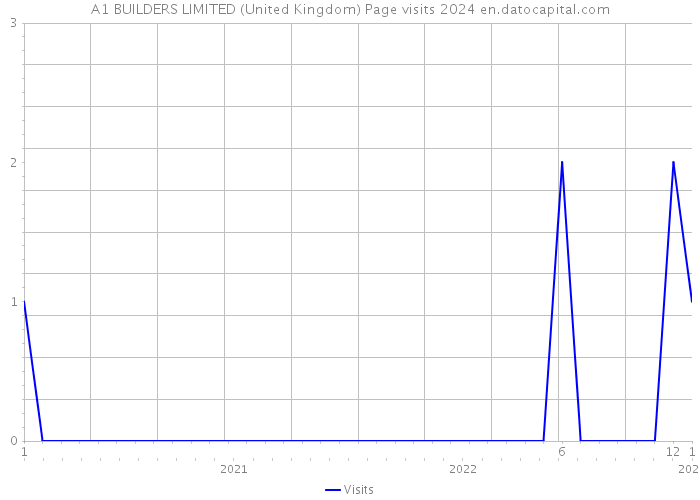 A1 BUILDERS LIMITED (United Kingdom) Page visits 2024 