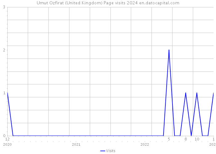 Umut Ozfirat (United Kingdom) Page visits 2024 