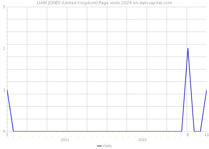 LIAM JONES (United Kingdom) Page visits 2024 