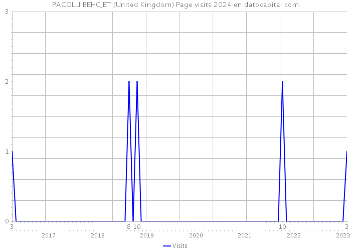 PACOLLI BEHGJET (United Kingdom) Page visits 2024 