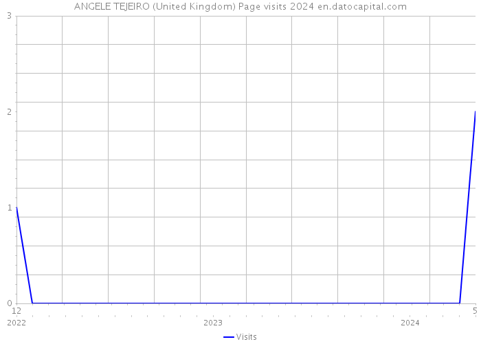 ANGELE TEJEIRO (United Kingdom) Page visits 2024 