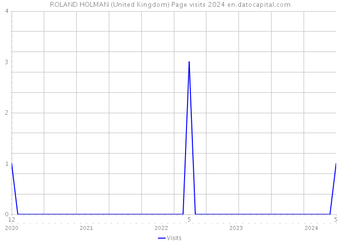 ROLAND HOLMAN (United Kingdom) Page visits 2024 