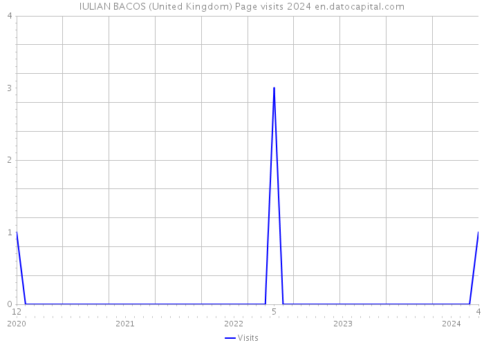 IULIAN BACOS (United Kingdom) Page visits 2024 