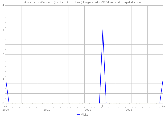 Avraham Weisfish (United Kingdom) Page visits 2024 