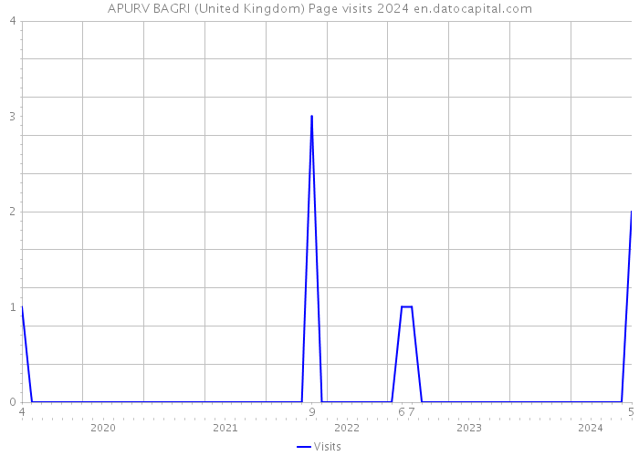 APURV BAGRI (United Kingdom) Page visits 2024 