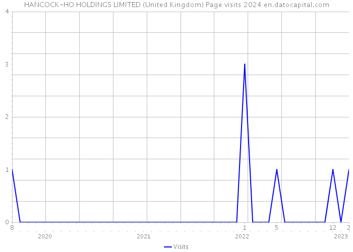 HANCOCK-HO HOLDINGS LIMITED (United Kingdom) Page visits 2024 