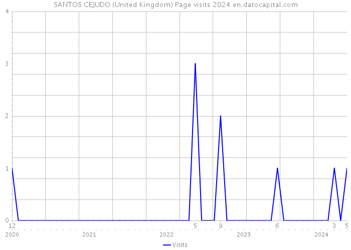 SANTOS CEJUDO (United Kingdom) Page visits 2024 