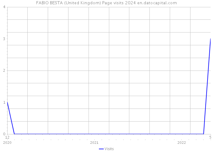 FABIO BESTA (United Kingdom) Page visits 2024 