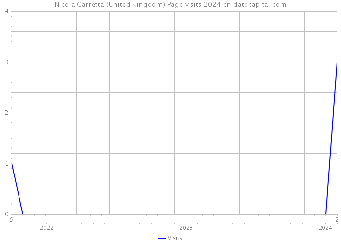Nicola Carretta (United Kingdom) Page visits 2024 