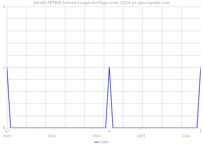 DAVID PETRIE (United Kingdom) Page visits 2024 