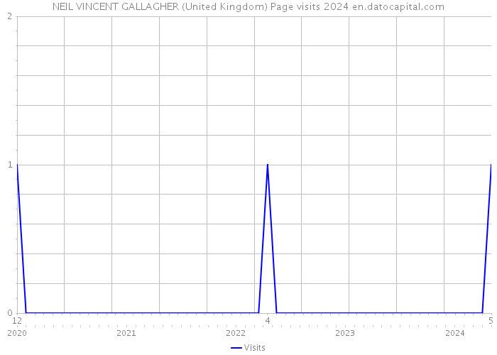 NEIL VINCENT GALLAGHER (United Kingdom) Page visits 2024 