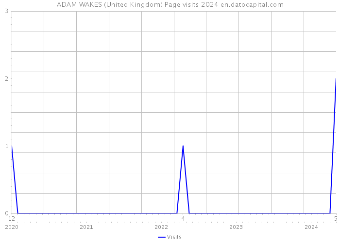 ADAM WAKES (United Kingdom) Page visits 2024 
