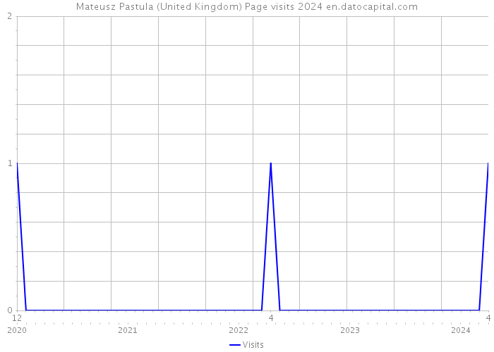 Mateusz Pastula (United Kingdom) Page visits 2024 
