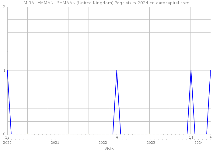 MIRAL HAMANI-SAMAAN (United Kingdom) Page visits 2024 