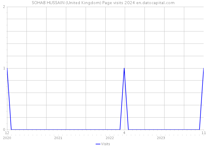 SOHAB HUSSAIN (United Kingdom) Page visits 2024 