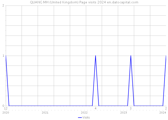 QUANG MH (United Kingdom) Page visits 2024 