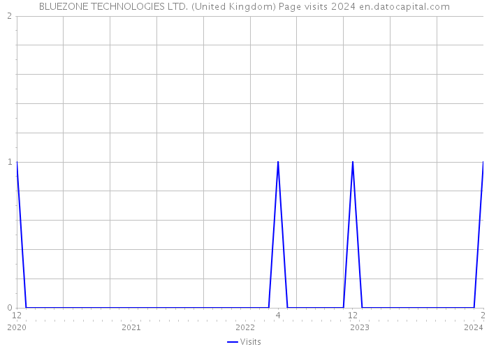 BLUEZONE TECHNOLOGIES LTD. (United Kingdom) Page visits 2024 