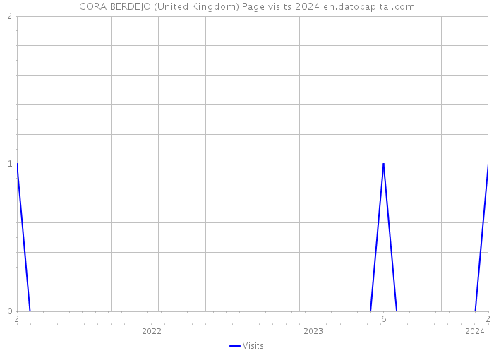 CORA BERDEJO (United Kingdom) Page visits 2024 