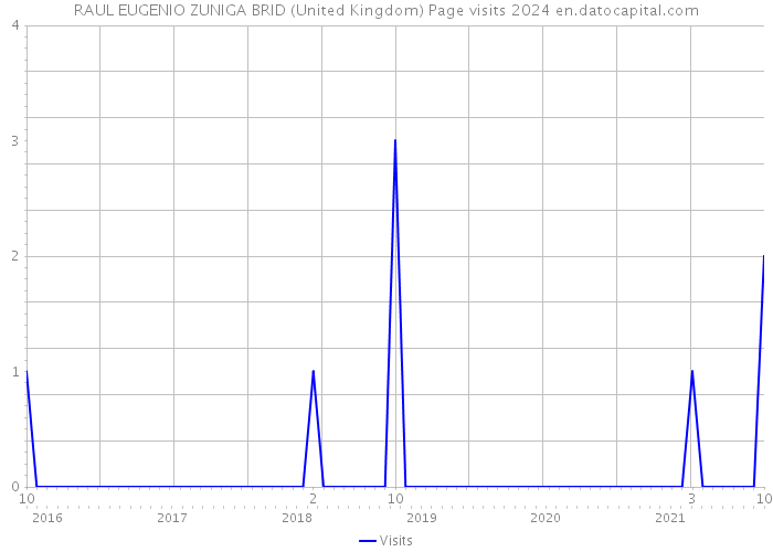 RAUL EUGENIO ZUNIGA BRID (United Kingdom) Page visits 2024 