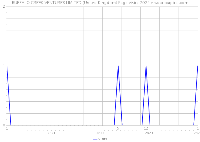 BUFFALO CREEK VENTURES LIMITED (United Kingdom) Page visits 2024 