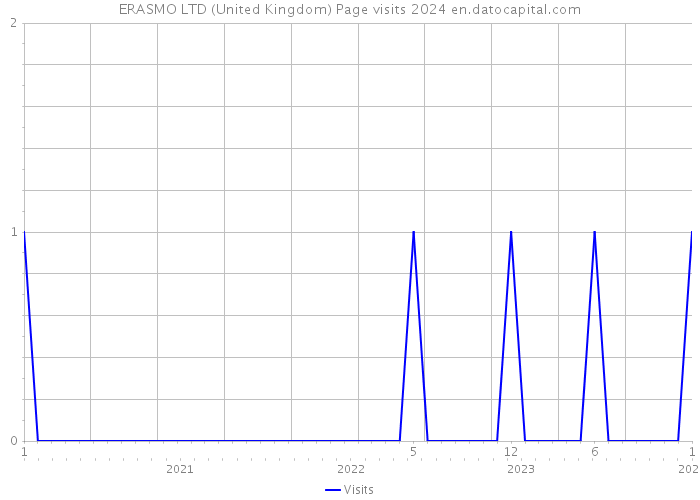 ERASMO LTD (United Kingdom) Page visits 2024 