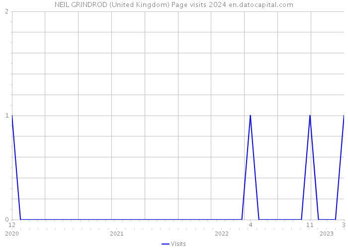 NEIL GRINDROD (United Kingdom) Page visits 2024 