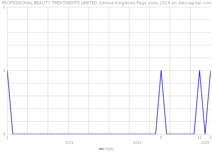PROFESSIONAL BEAUTY TREATMENTS LIMITED (United Kingdom) Page visits 2024 