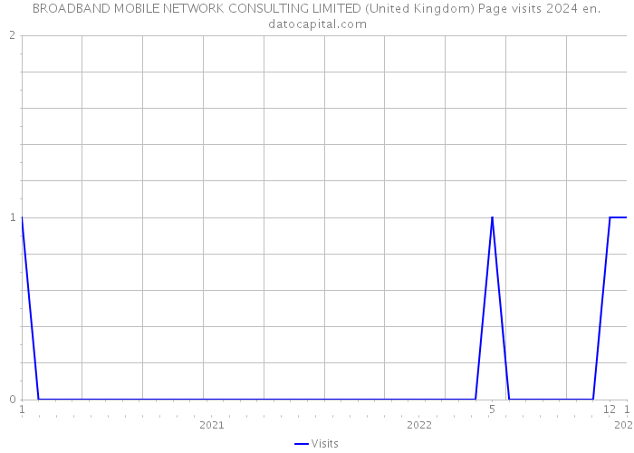 BROADBAND MOBILE NETWORK CONSULTING LIMITED (United Kingdom) Page visits 2024 