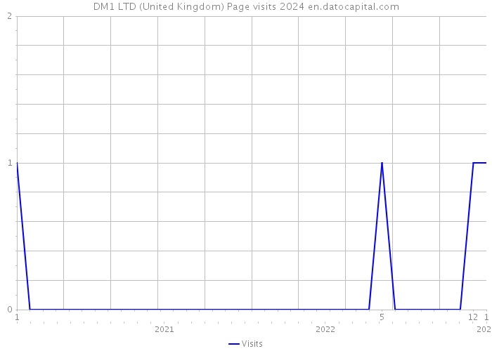 DM1 LTD (United Kingdom) Page visits 2024 