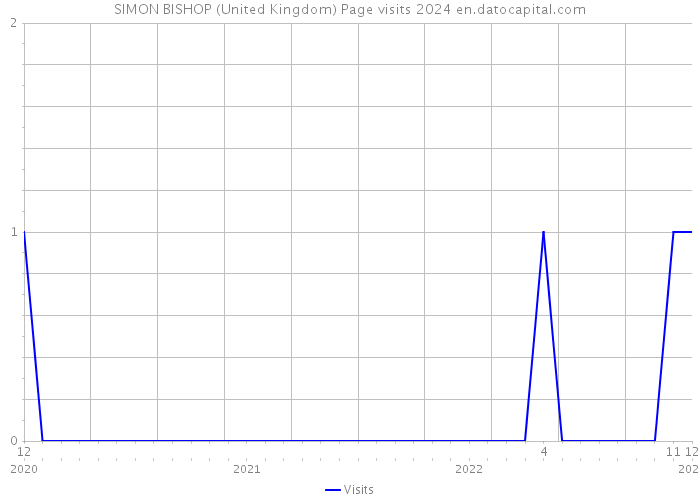 SIMON BISHOP (United Kingdom) Page visits 2024 