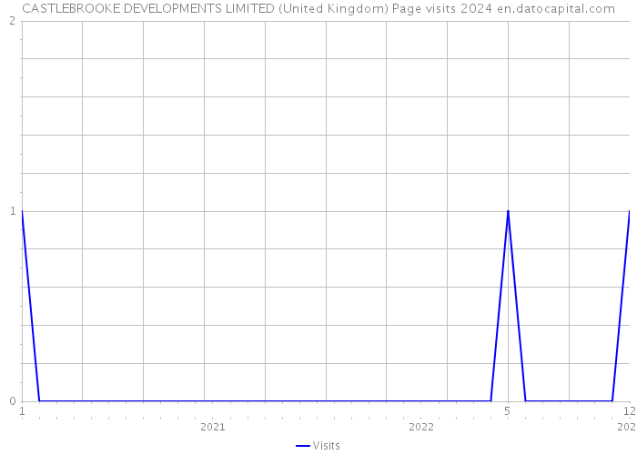 CASTLEBROOKE DEVELOPMENTS LIMITED (United Kingdom) Page visits 2024 