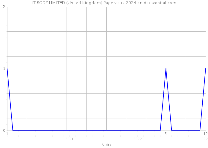 IT BODZ LIMITED (United Kingdom) Page visits 2024 